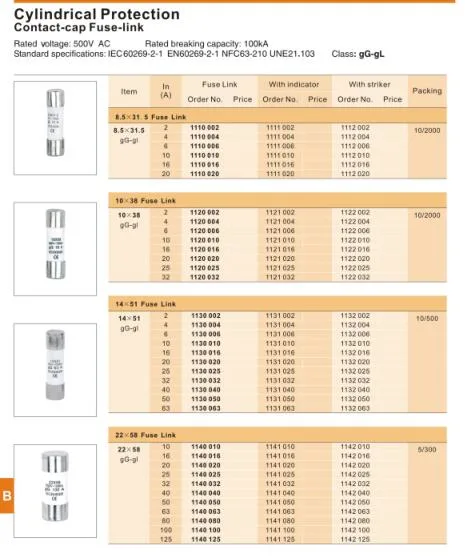 10X38 4A 25A 32A White Ceramic Gg Am Cylindrical Fuse Link