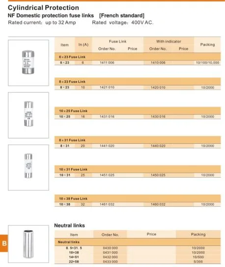 House Service Fuse Cut out Protection